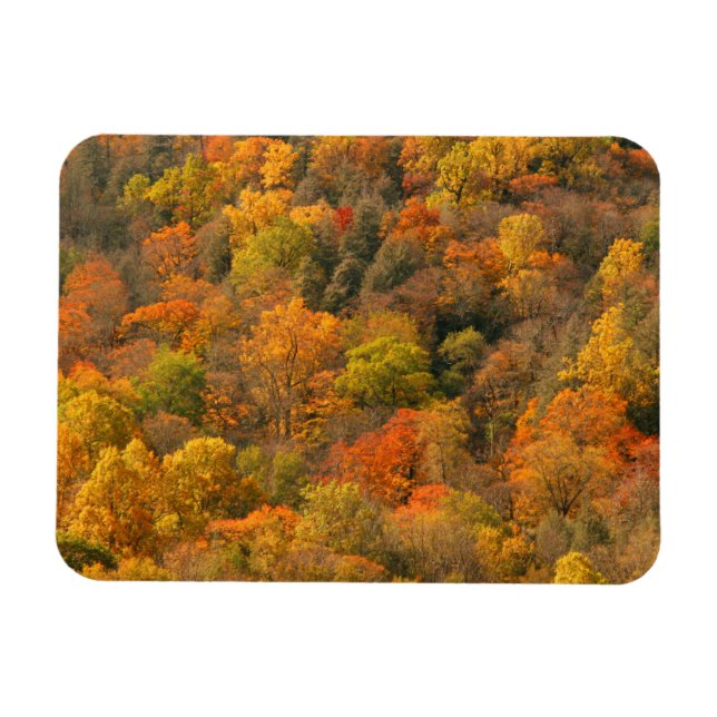 Imán EE. UU., Tennessee. Follaje de otoño 2 (Horizontal)