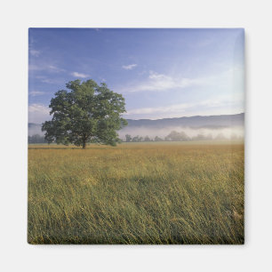 Imán EE.UU., Tennessee. Grandes montañas Smokey