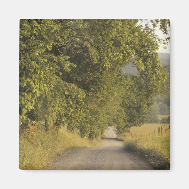 Imán EE.UU., Tennessee, Great Smoky Mountains National  (Frente)