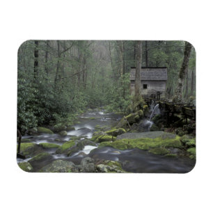 Imán EE. UU., Tennessee, Parque Nacional Grandes Montañ