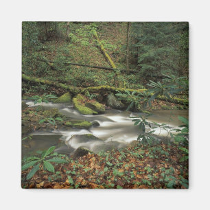 Imán EE. UU., Tennessee. Río Nacional Big South Fork