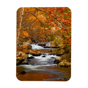 Imán EE. UU., Tennessee. Rushing Mountain Creek