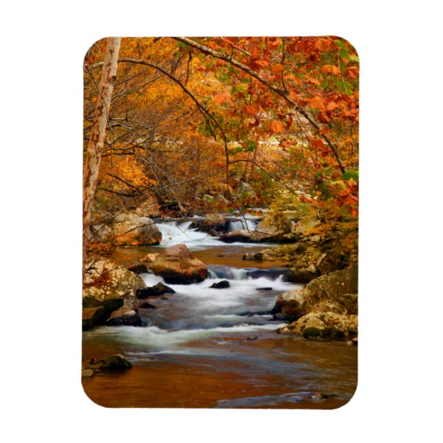 Imán EE. UU., Tennessee. Rushing Mountain Creek (Vertical)