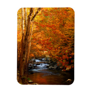Imán EE. UU., Tennessee. Rushing Mountain Creek 2