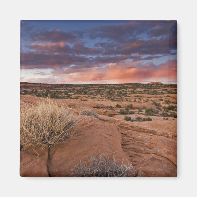 Imán EE. UU., Utah. Atardecer en Poison Spider Mesa cer (Frente)