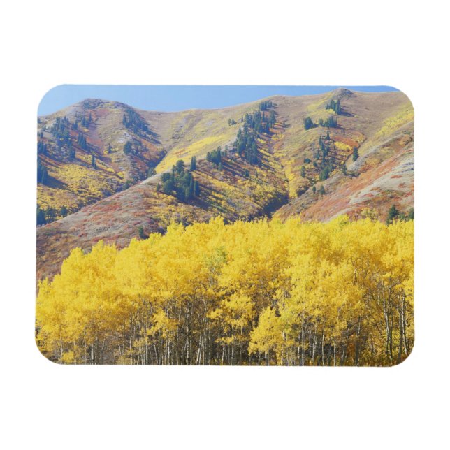 Imán EE. UU., Utah, Bosque Nacional Wasatch-Cache, (Horizontal)