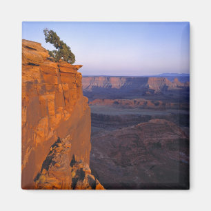 Imán EE. UU., Utah, Dead Horse Point SP. La luz tardía 