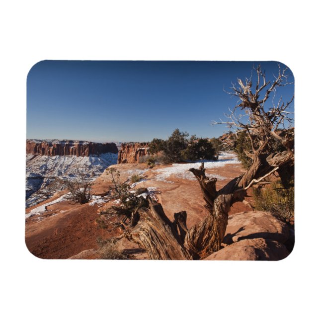Imán EE. UU., Utah, Moab. Parque Nacional Canyonlands, (Horizontal)
