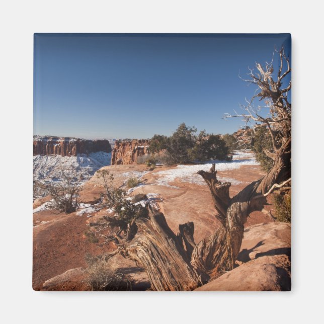 Imán EE. UU., Utah, Moab. Parque Nacional Canyonlands, (Frente)