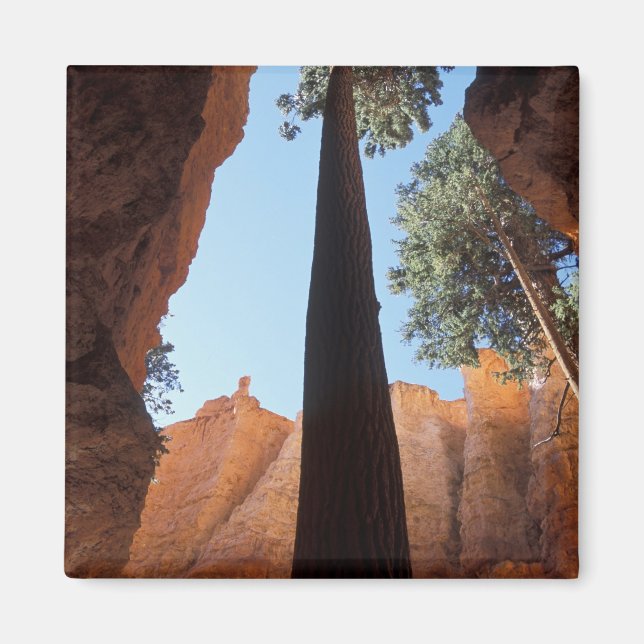 Imán EE. UU., Utah, Parque Nacional Bryce Canyon. Alto (Frente)