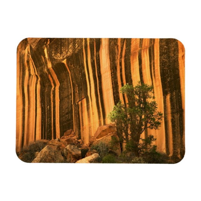 Imán EE.UU., Utah, Parque Nacional Capitol Reef (Horizontal)