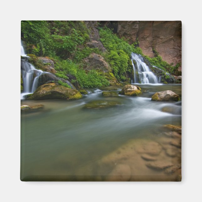 Imán EE. UU., Utah, Parque Nacional Zion. El Virgin (Frente)