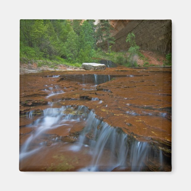 Imán EE. UU., Utah, Parque Nacional Zion. Escénico desd (Frente)