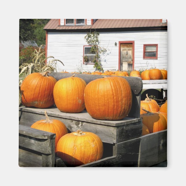 Imán EE. UU., Vermont. Calabazas (Frente)