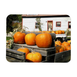 Imán EE. UU., Vermont. Calabazas