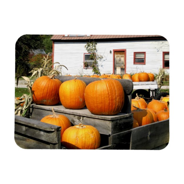Imán EE. UU., Vermont. Calabazas (Horizontal)