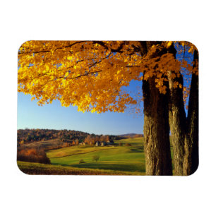 Imán EE.UU., Vermont. Granja Escénica Cerca De Woodsto