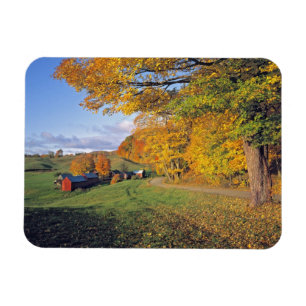 Imán EE. UU., Vermont, Jenne Farm. El otoño llega a Jen