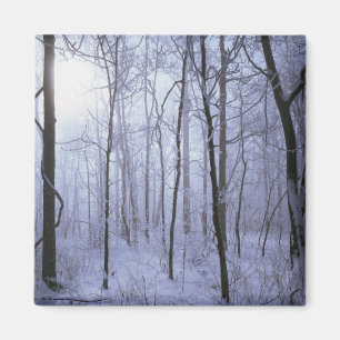 Imán EE. UU., Virginia, Área silvestre Richard Thompson