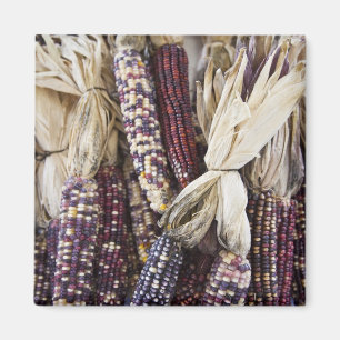 Imán EE.UU., Virginia Occidental, Charleston. Capitolio