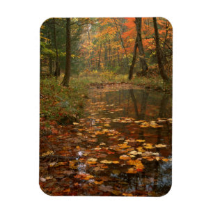 Imán EE. UU., Virginia, Otoño en Douthat State Park
