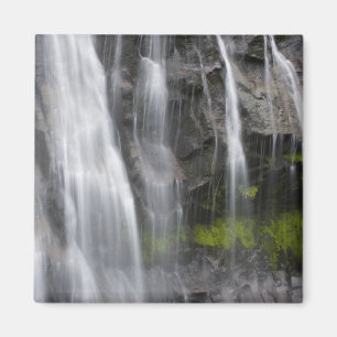 Imán EE. UU., WA, Mt. Rainier NP, Narada Falls