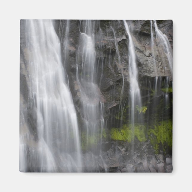 Imán EE. UU., WA, Mt. Rainier NP, Narada Falls (Frente)