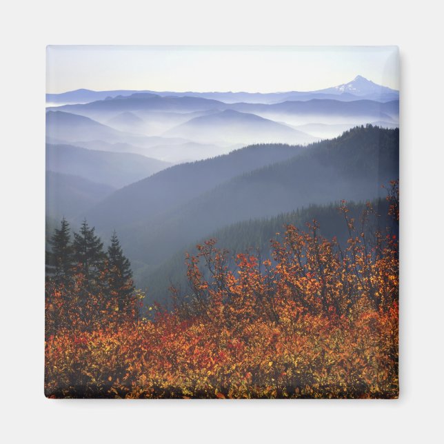 Imán EE. UU., Washington, Columbia River Gorge National (Frente)