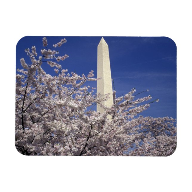 Imán EE. UU., Washington DC. Festival de Flor de Cerezo (Horizontal)