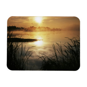 Imán EE.UU., Washington, isla de López, mañana niebla