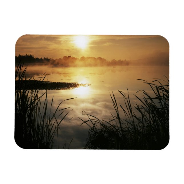 Imán EE. UU., Washington, Isla Lopez, Niebla matutina e (Horizontal)