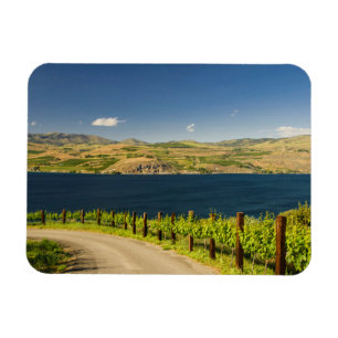 Imán EE. UU., Washington, lago Chelan. Viñedo