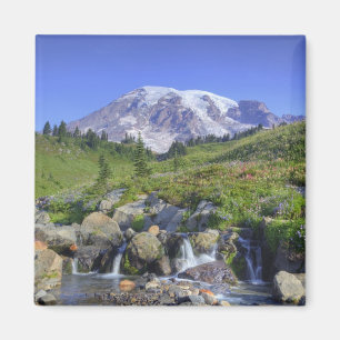 Imán EE. UU., Washington, Mt. Rainier NP, Mt. Rainier y