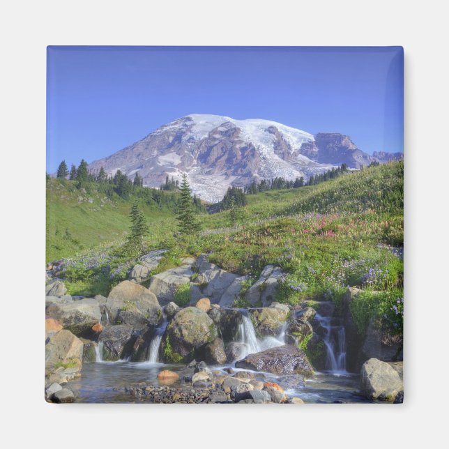 Imán EE. UU., Washington, Mt. Rainier NP, Mt. Rainier y (Frente)