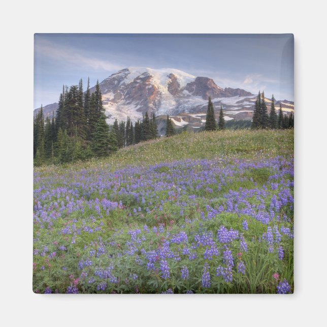 Imán EE. UU., Washington, Mt. Rainier NP, Mt. Rainier y (Frente)