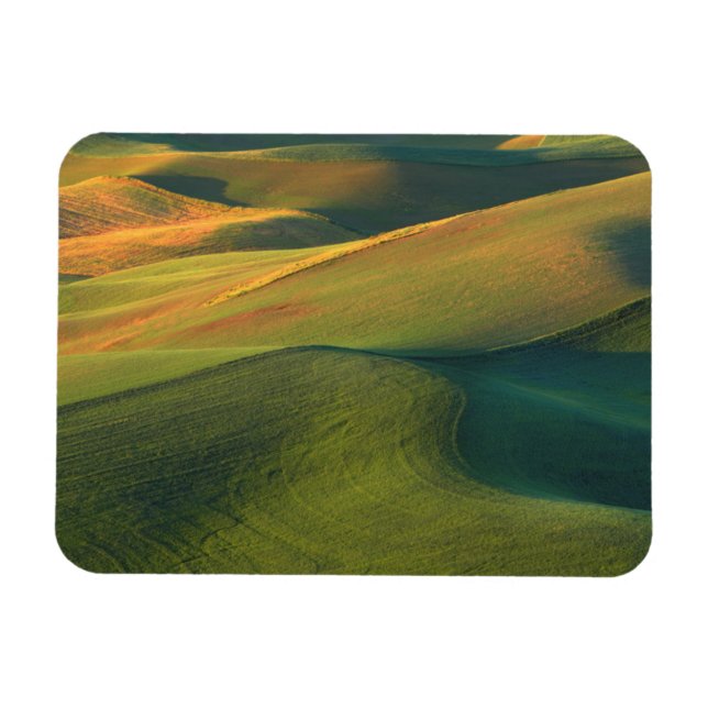 Imán EE. UU., Washington, Palouse, condado de Whitman (Horizontal)