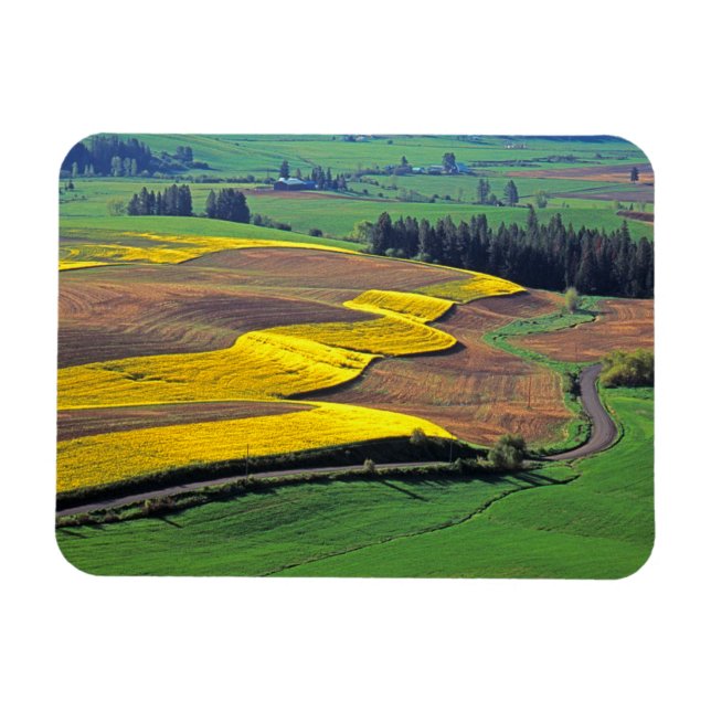 Imán EE. UU., Washington, Palouse, Condado de Whitman 2 (Horizontal)