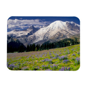 Imán EE. UU., Washington, Parque Nacional Mt. Rainier.