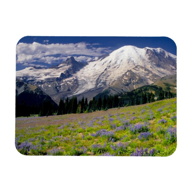 Imán EE. UU., Washington, Parque Nacional Mt. Rainier. (Horizontal)