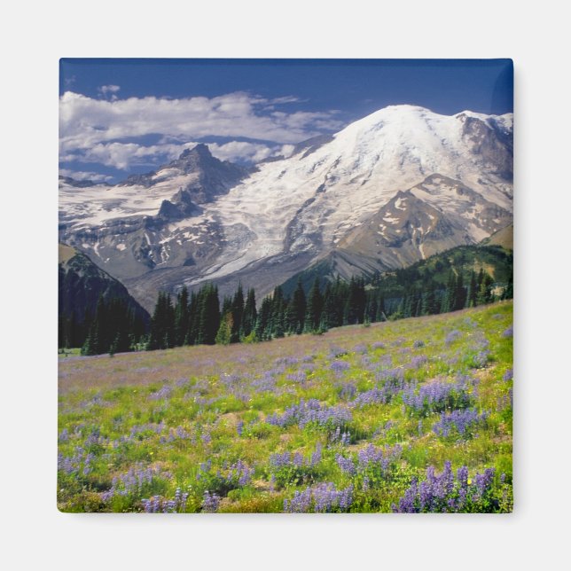 Imán EE. UU., Washington, Parque Nacional Mt. Rainier. (Frente)