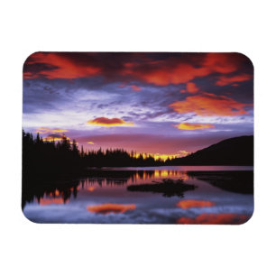 Imán EE. UU., Washington, Parque Nacional Mt. Rainier,