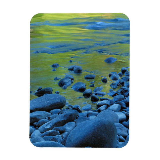 Imán EE. UU., Washington, Parque Nacional Olímpico 4 (Vertical)