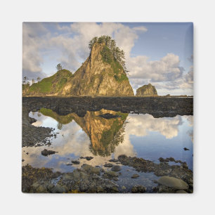 Imán EE. UU., Washington, Parque Nacional Olímpico. A