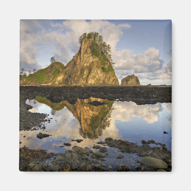 Imán EE. UU., Washington, Parque Nacional Olímpico.  A (Frente)