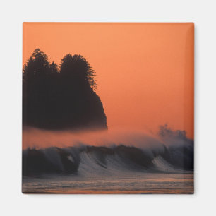 Imán EE. UU., Washington, Parque Nacional Olímpico, Mar