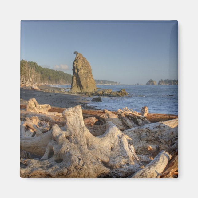 Imán EE. UU., Washington, Parque Nacional Olímpico, Ria (Frente)
