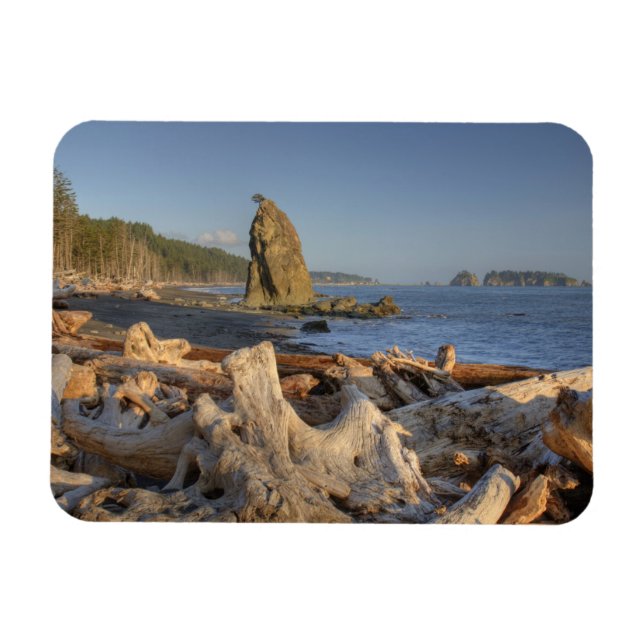 Imán EE. UU., Washington, Parque Nacional Olímpico, Ria (Horizontal)