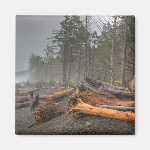 Imán EE. UU., Washington, Parque Nacional Olímpico, Ria