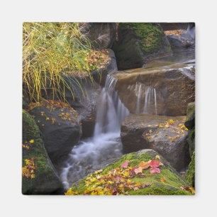 Imán EE.UU., Washington, Seattle