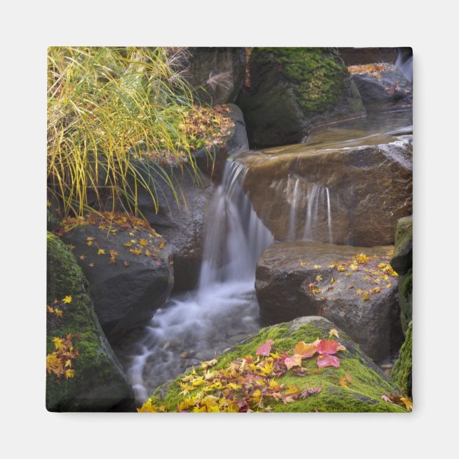 Imán EE.UU., Washington, Seattle (Frente)